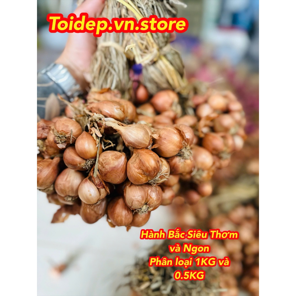 Hành Bắc Khô Thơm Ngon Chất Lượng,Chuẩn Hành Ta Kinh Môn Hải Dương Loại 1 Nhà Trồng Organic