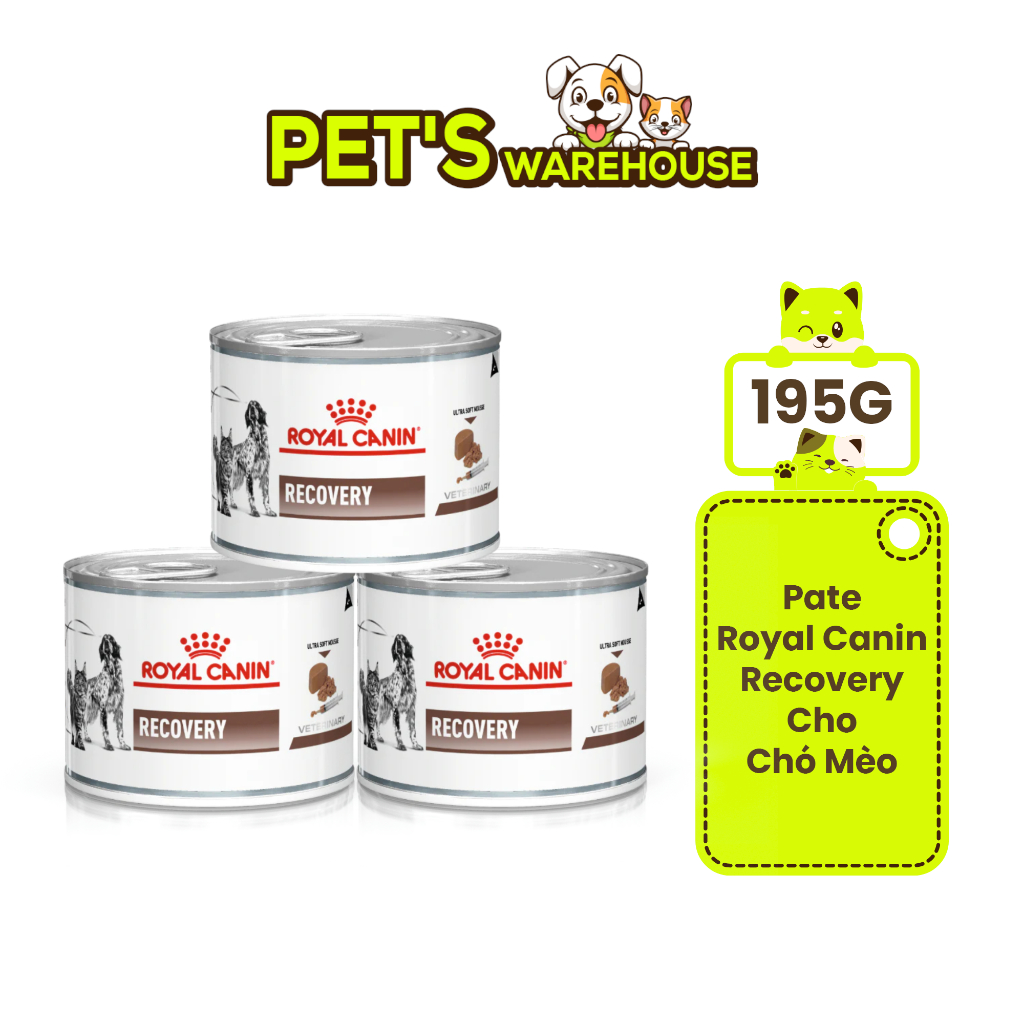 Pate Royal Canin Recovery Cho Chó Mèo, Lon 195g