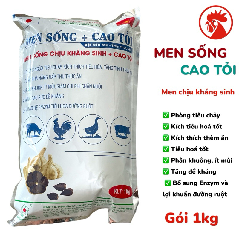 Men sống cao tỏi (10 in 1) gói 1 kg chăm sóc vật nuôi vitamin.