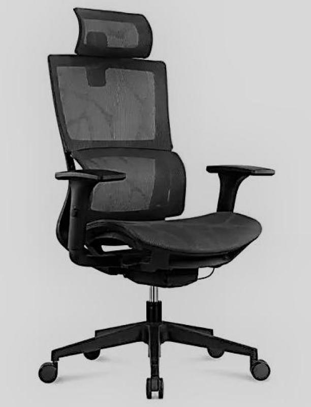 High Quality Full Mesh Strong Lumbar support (Built-in functions) Singapore