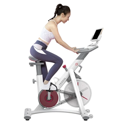 【SG STOCK】Livfit Spin Bike Home Gym Exercise Bicycle / Exercise Bike