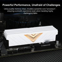 Homtom 2Pcs DDR5 32GB(16GBx2) 5600MHz Desktop Memory Dual Channel XMP 3.0 Overclocking for Gaming PC