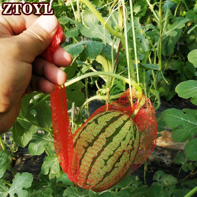 ZTOYL ตาข่ายเก็บแตงกวาในสวน100ชิ้นถุงตาข่ายตาข่ายปลูกผักแขวนตาข่ายปลูกแตงโมใช้ซ้ำได้ ราคา 49 บาท*ส่งฟรี
