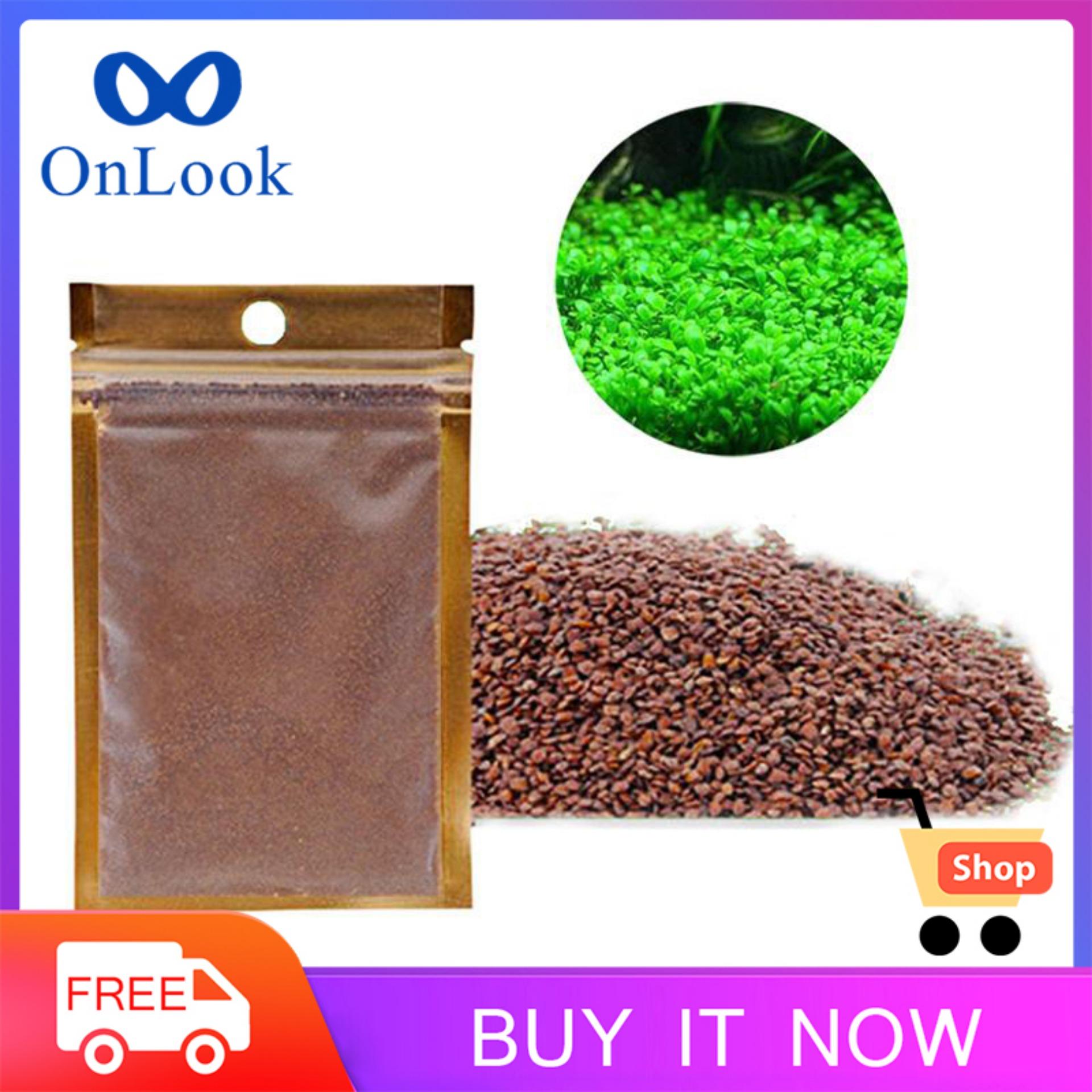 aquarium decorations online