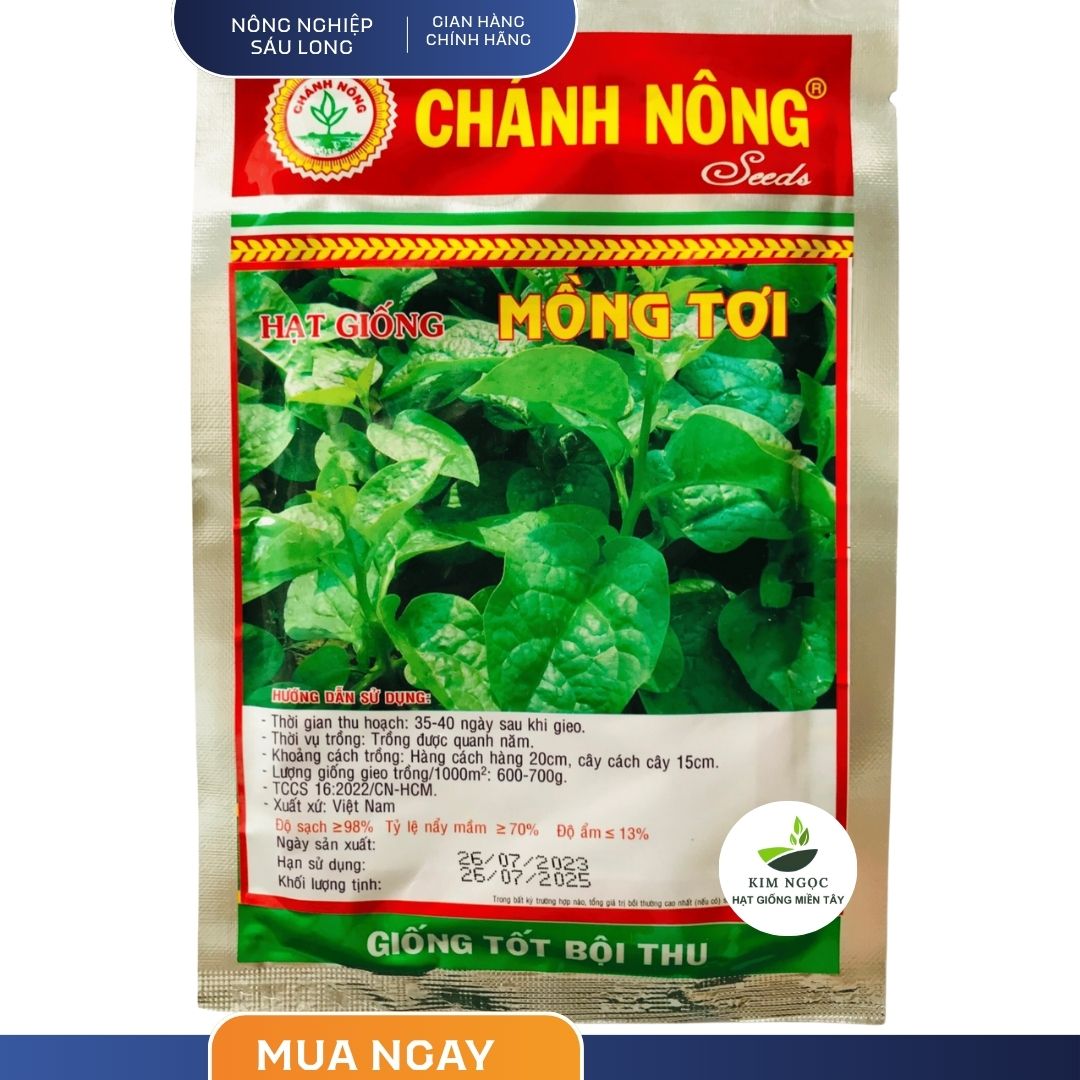 Hạt Giống Rau Mồng Tơi LÁ TO CHÁNH NÔNG (GÓI 500 gram) - Nảy mầm cao, đồng đều, sinh trưởng mạnh
