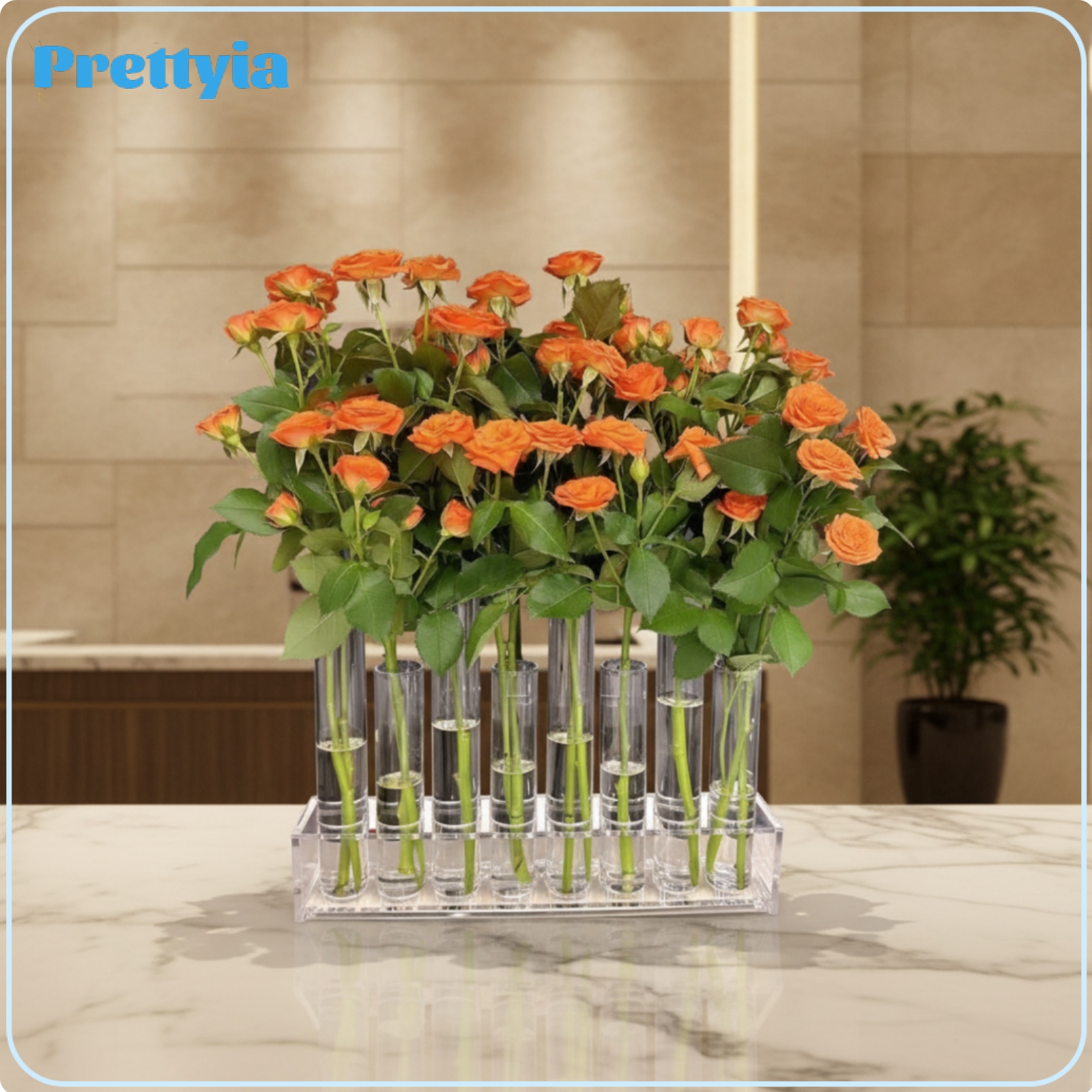 Prettyia 6 Pieces Light Luxury Test Tube Vase Set Modern Design Glass Tube Flower Holder Versatile Propagation Station Easy to Clean for Desktop, Windowsill ราคา 18,584 บาท*ส่งฟรี