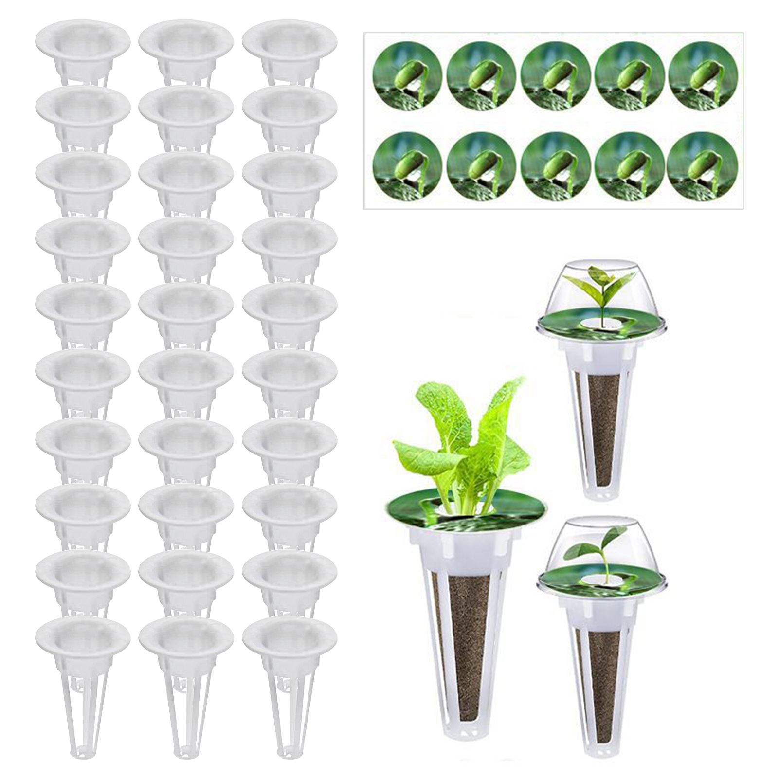 Sanwood® 1 Set Plant Grow Basket High Durability Slotted Design Plastic Grow Sponges Hydroponics Plant Starting Basket Kit Garden Supplies 1 Set Useful - Jenama Sanwood Harga 47 Ringgit*Penghantaran Percuma