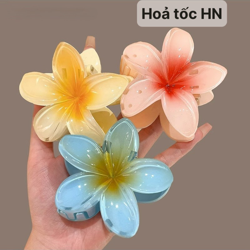Kẹp tóc hoa sứ Kẹp tóc hình hoa hottrend xinh xắn dành cho nữ