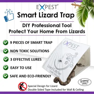 9 Pcs Lizard (Cicak/Gecko) Sticky Smart Trap / Lizard Killer