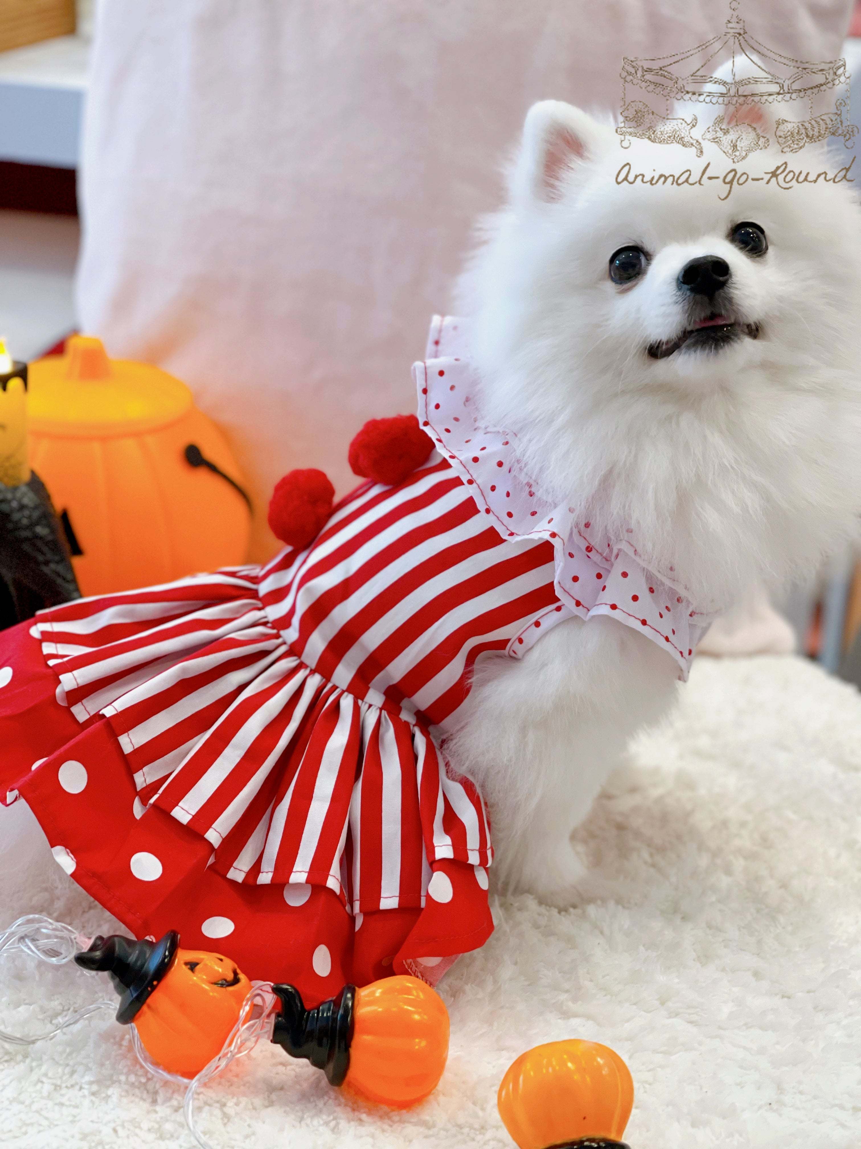 Animal-Go-Round เสื้อผ้าเครื่องแต่งกาย สัตว์เลี้ยง, หมา, แมว, สุนัข รุ่น Poppy Bozo Girl ราคา 690 บาท*ส่งฟรี