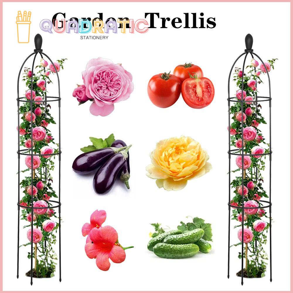 Bộ sưu tập đồ giường Cho Trong Nhà cây trồng trong chậu Vườn Trellises Ngoài Trời Trong Nhà Hoa Đứng Hỗ Trợ Tháp Kim Loại Nhà Máy Hỗ Trợ Vườn Trellis