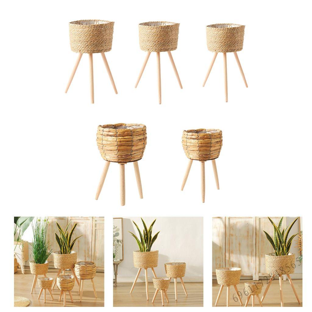 กระถางดอกไม้สไตล์โมเดิร์น ชิ้นเดียวสำหรับตกแต่งบ้าน ราคา 1,015 บาท*ส่งฟรี