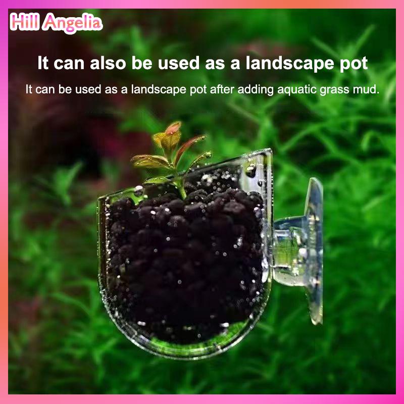 [Hill Angelia] Trong suốt Acrylic nhà máy thủy sản cup Aquarium Fish Tank nhà máy nồi với hút thức ăn container đứng Aquarium phụ kiện