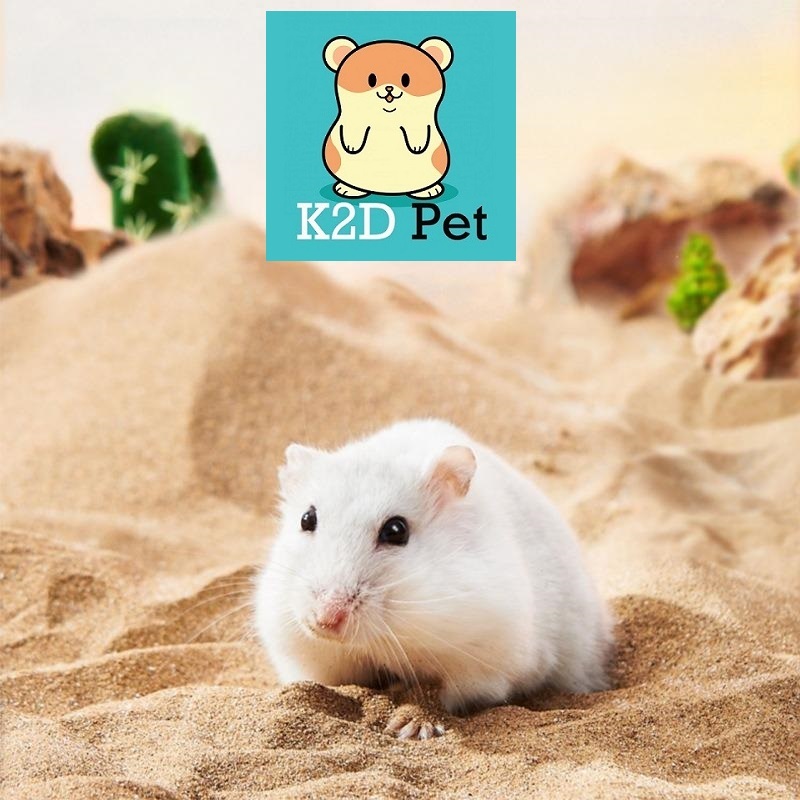 Cát sa mạc làm lót chuồng, cát tắm, decor lồng cho hamster, bò sát, nhím và thú cưng nhỏ