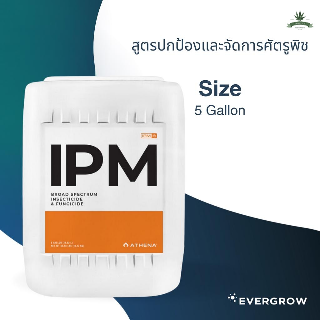 [สินค้าพร้อมจัดส่ง]⭐⭐Athena IPM ฆ่าแมลง ป้องกันเชื้อรา ป้องกันการเกิด ไม่ส่งผลต่อต้นไม้ ขนาด 5 Gallon.[สินค้าใหม่]จัดส่งฟรีมีบริการเก็บเงินปลายทาง⭐⭐ ราคา 57,750 บาท*ส่งฟรี