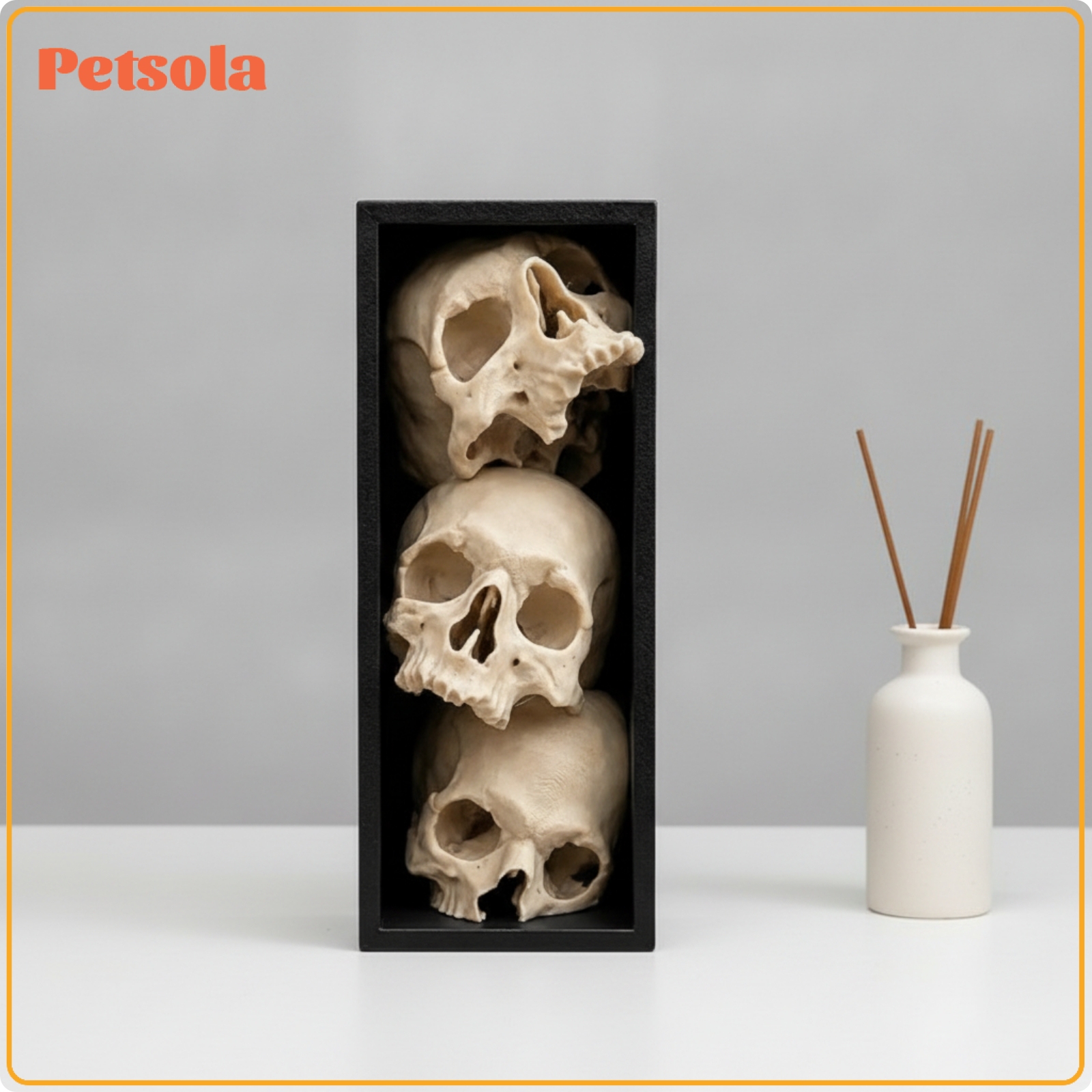 petsola Spooky Skull Book Nook Creepy Book Nook with Skulls Realistic Halloween Decorative Figurine Textured for Bookcase ราคา 2,661 บาท*ส่งฟรี