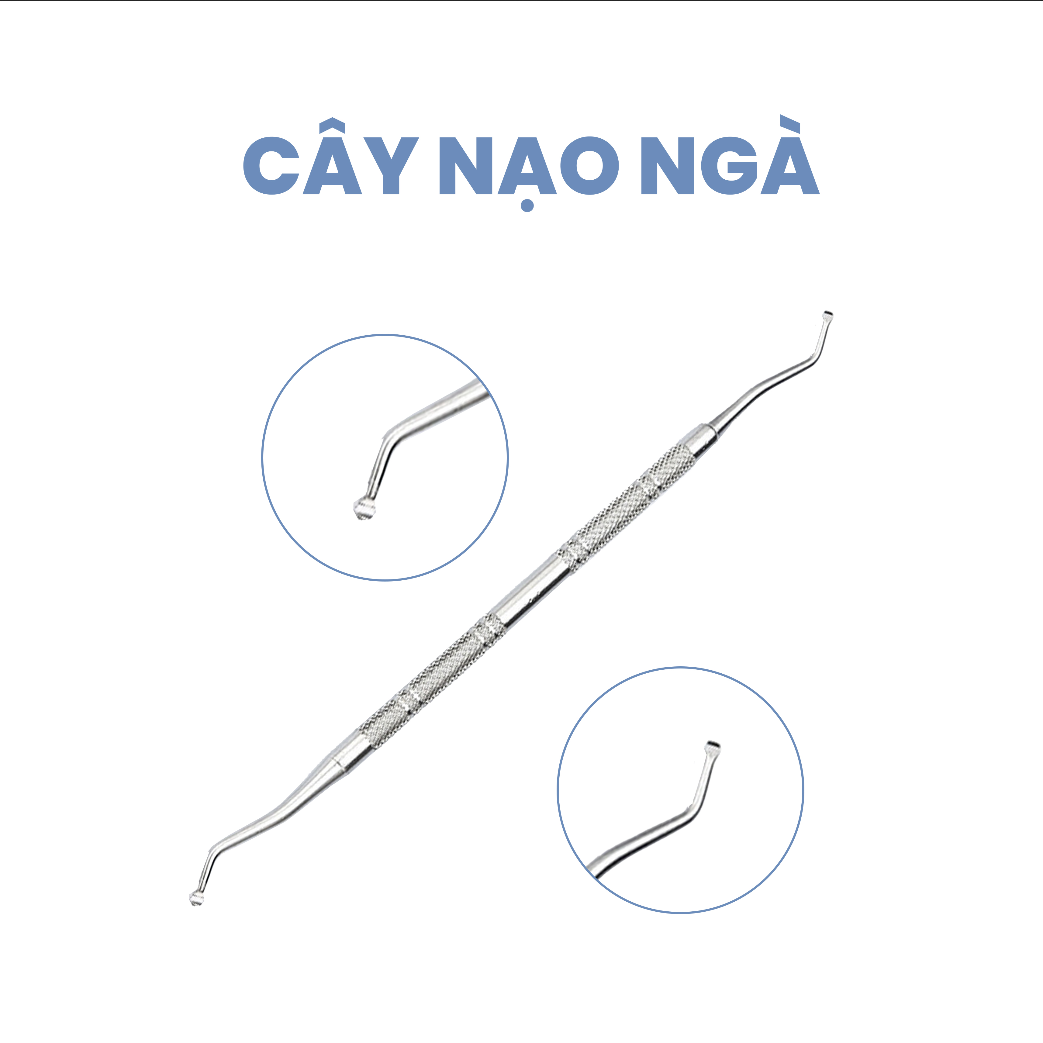 Cây nạo ngà