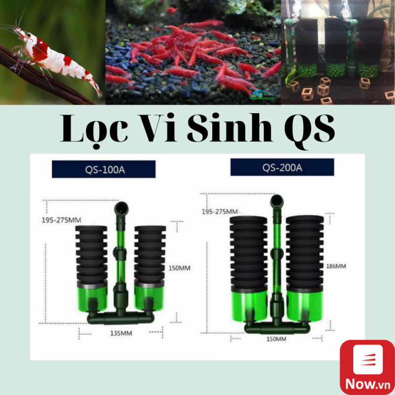 lọc vi sinh - lọc đôi - lọc bio QS100A - QS-100A