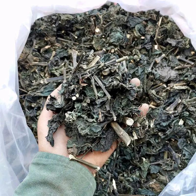 Cây bầu đất khô ( cây bầu dất rừng màu tím) - Sản phâm khô sạch về nấu trà