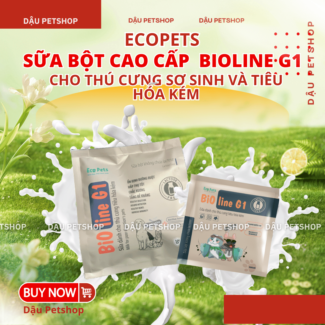 🍼 SỮA BỘT ECOPETS (Bioline G1) KHÔNG LACTOSE – SỮA THAY THẾ HOÀN HẢO CHO CHÓ MÈO SƠ SINH 🍼