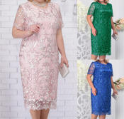 Elegant Lace Floral Plus Size Summer Wedding Guest Dress