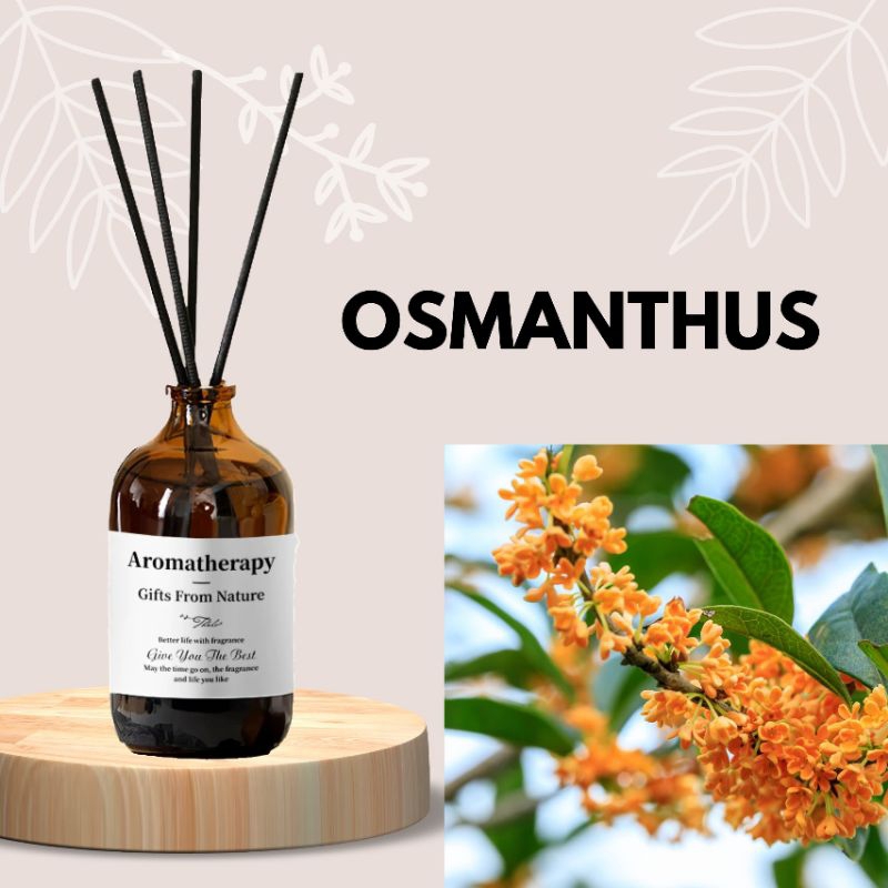 Scent Out BUY 1 FREE 1 Premium Essential 0il Reed Diffuser Room Fragrance Aromatherapy Aroma Diffuser wangi Malaysia