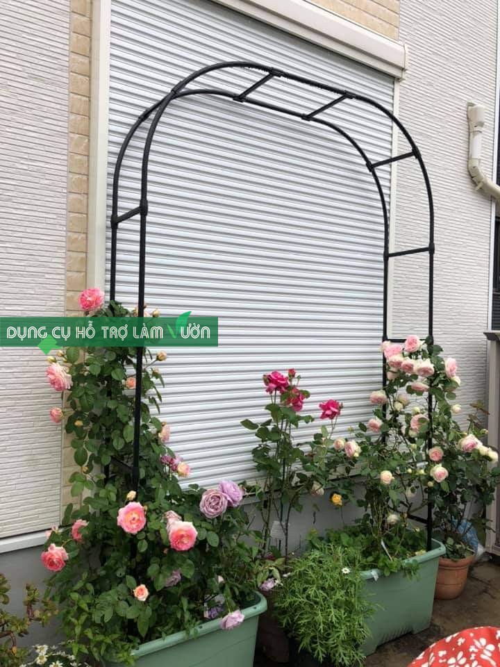 Khung vòm cổng cho hoa hồng leo cao 210cm chiều sâu 31cm màu đen