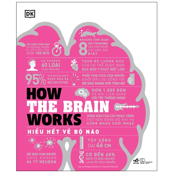 Sách - How the brain works - Hiểu hết về bộ não - (Nhã Nam HN Kho)