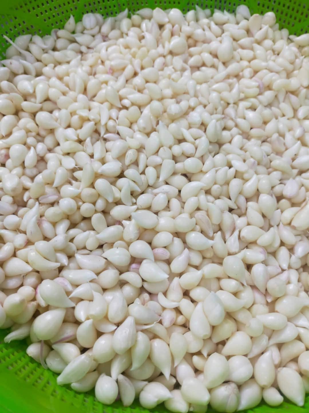 Tỏi Lý Sơn khô bóc vỏ sẵn hút chân không . Tỏi chính gốc Lý Sơn, cay nhẹ hậu ngọt. Cuối mùa tỏi lên mầm