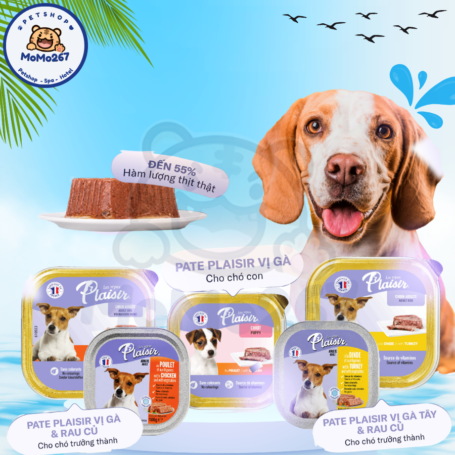 Pate Plaisir cho chó 100-150g-300g
