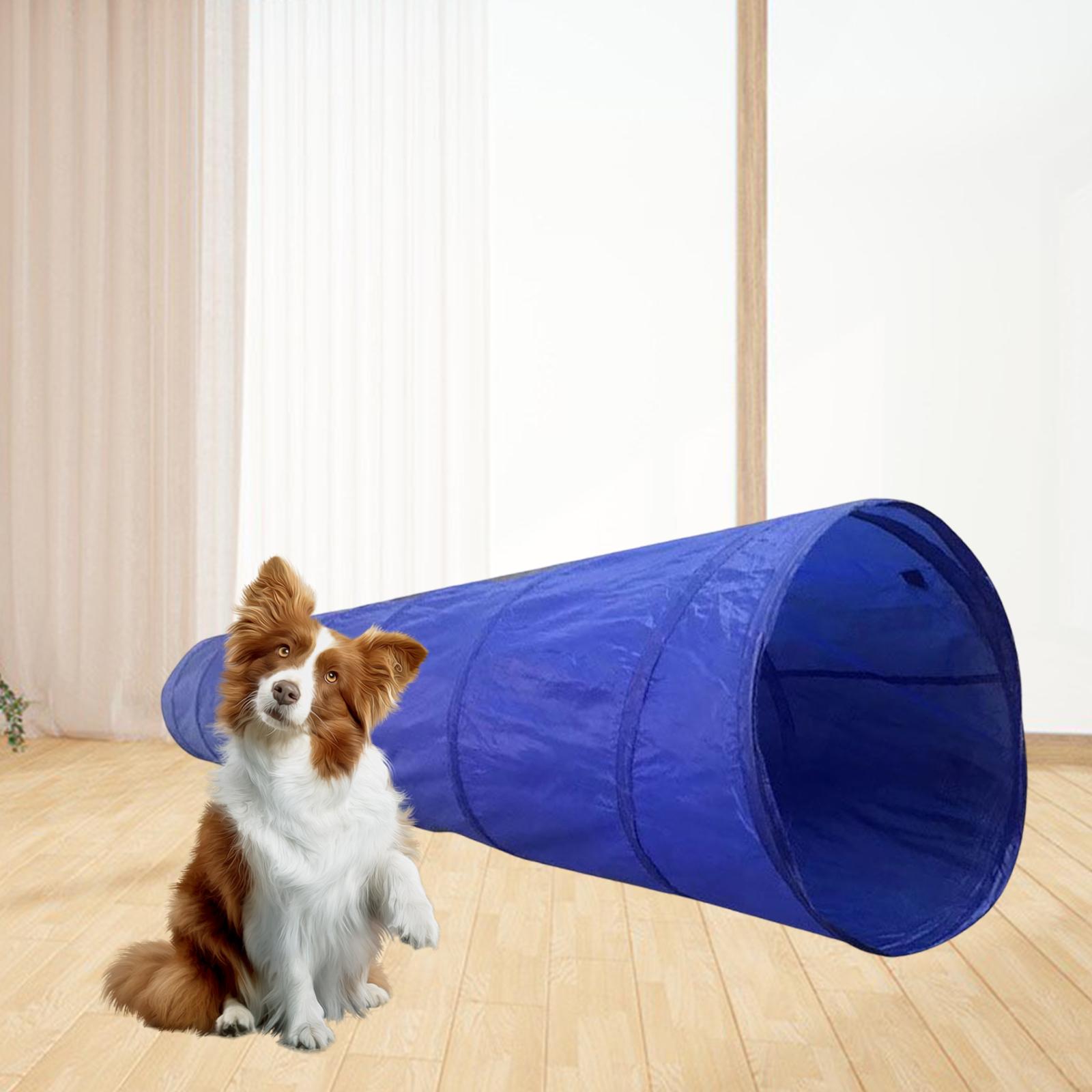 Serbery Dog nhanh nhẹn đào tạo đường hầm Ống đồ chơi tương tác guinea pig