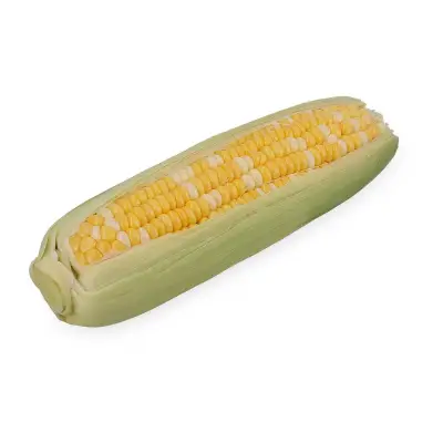 GIVVO Bi-Color Sweet Corn