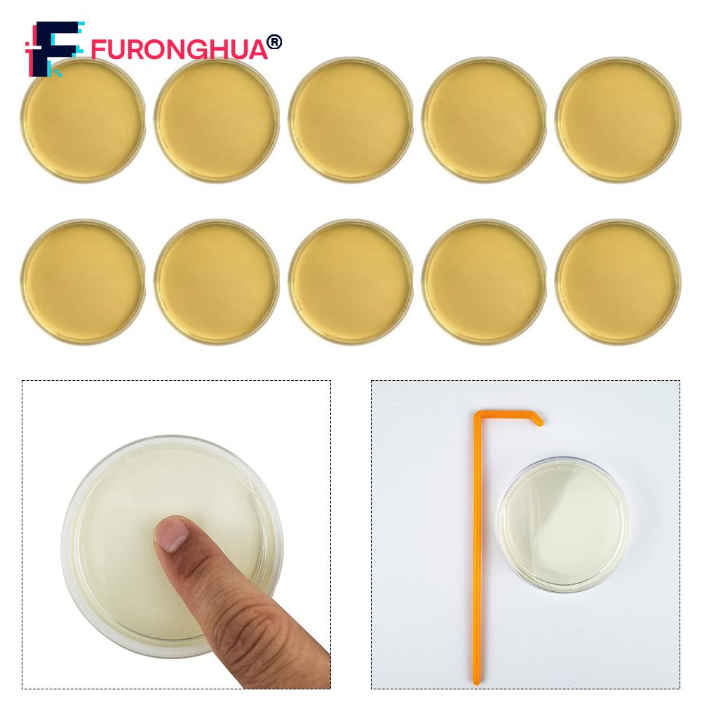 【FURONGHUA】 DIY For Mold Testing Kit 10 Tests for Home Safety and Cost Effective Monitoring 【New product】