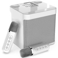203 Portable Karaoke Bluetooth Speaker With Dual Microphone Mini Wireless 3D Stereo Amplifier Party
