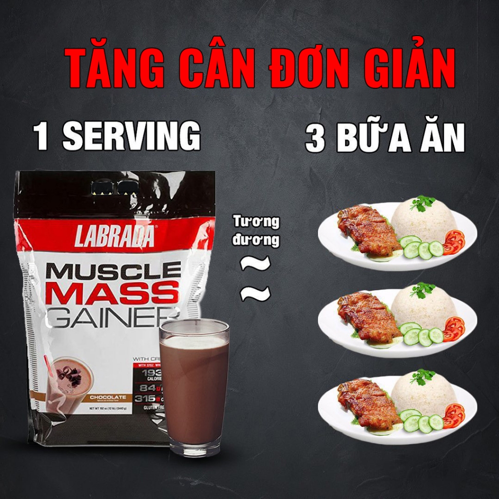 LABRADA MUSCLE MASS GAINER 12 lbs 5,4kg