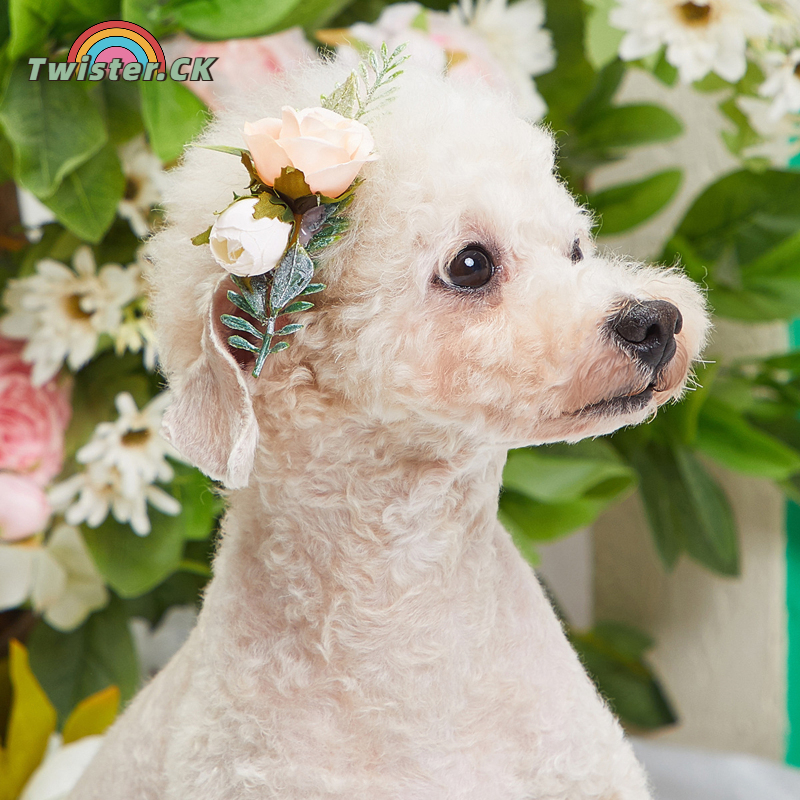 Dog Hair Clip Dog Wedding Wreath Pet Hair Accessories For Halloween Thanksgiving Christmas Wedding Party ราคา 43 บาท*ส่งฟรี