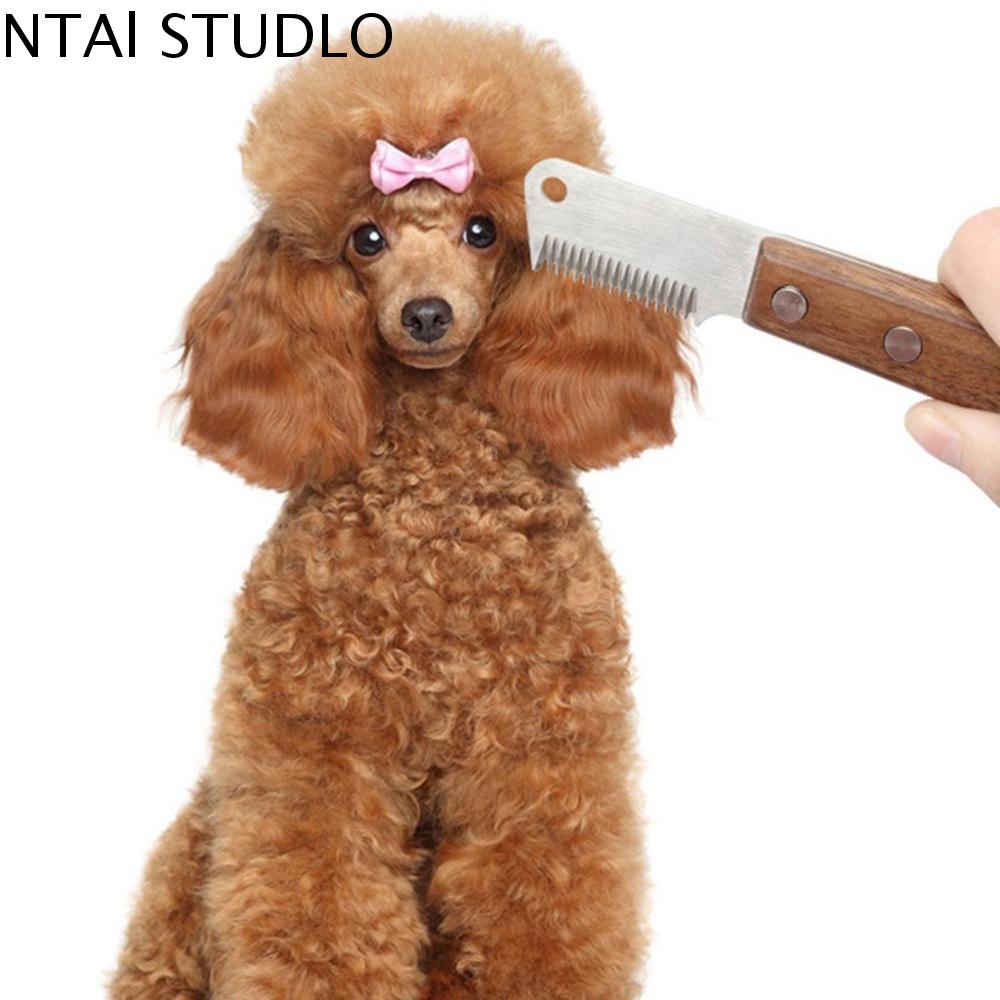 NTAL STUDLO Sáng tạo Làm sạch lông Bàn chải lông Đầu lược bằng thép không gỉ Chức năng massage cho mèo, chó Tẩy lông cho chó Lược chải tóc Lược cho thú cưng Dụng cụ chải lông cho thú cưng