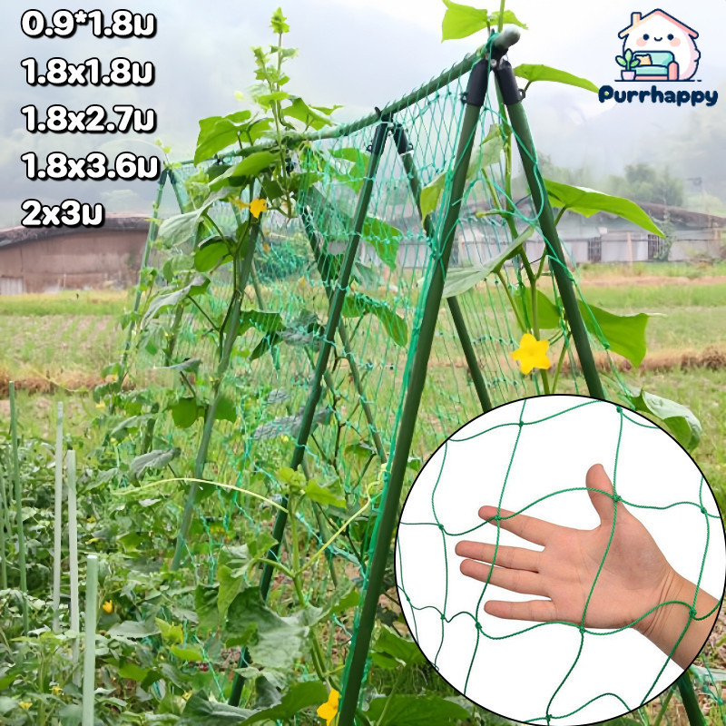 Purrhappy ตาข่ายปลูกพืชผัก อวนปลูกผัก ค้างปลูกผัก ตาข่ายสำหรับพืชไม้เลื้อย คุณภาพดี เน็ตตาข่ายสี่มุม ราคา 29 บาท*ส่งฟรี