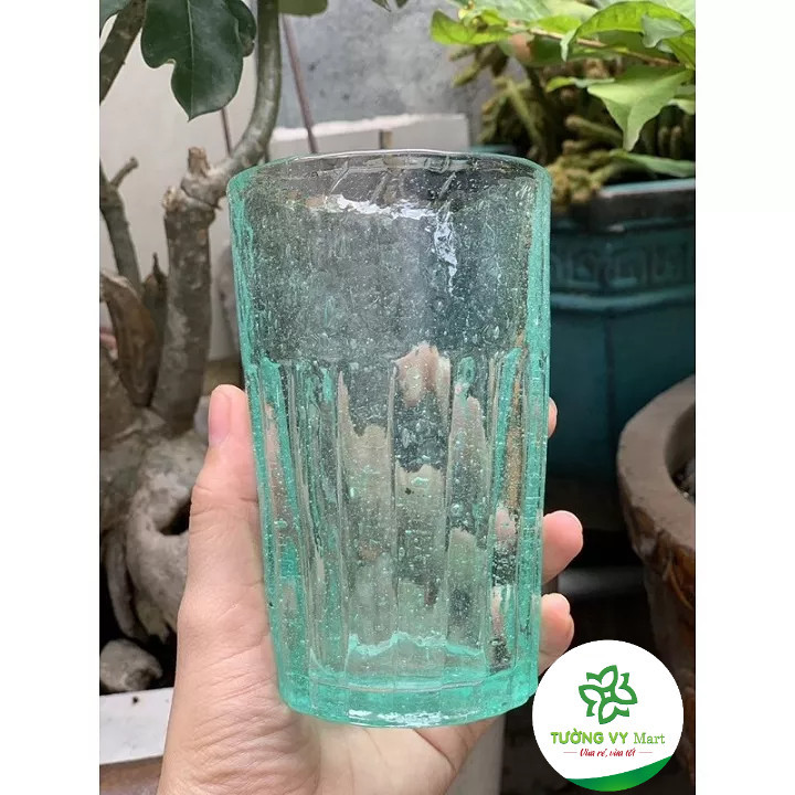 Ly thuỷ tinh uống bia Cốc uống bia hơi Hà nội Hộp 20 cốc
