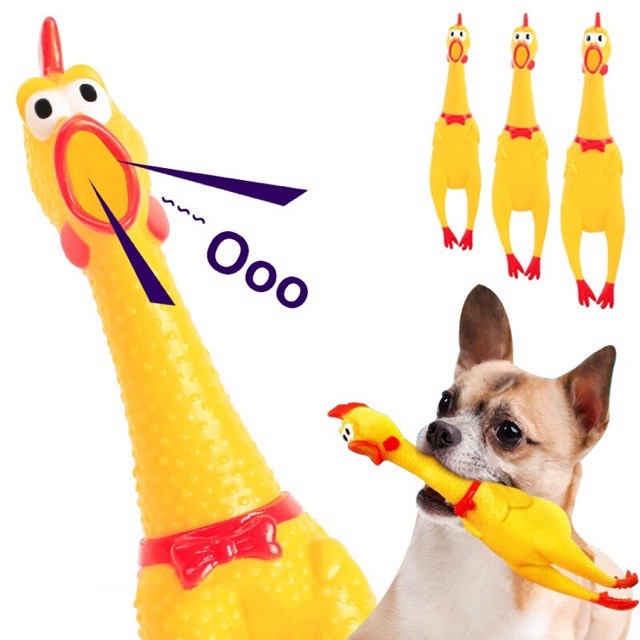 Đồ chơi gà hơi, gà bóp kêu, gà phát tiếng kêu Shrilling Chicken, gà A Lử, đồ chơi cho thú cưng, trẻ em