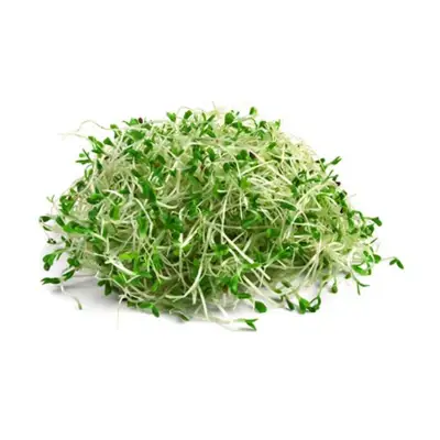 Quan Fa Organic Farm Organic Alfalfa Sprouts