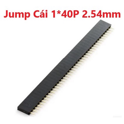 Thanh Jump Cái Đơn Thẳng 1*40P 2.54mm, 1 hàng 40 chân, khoảng cách giữa 2 chân là 2.54mm