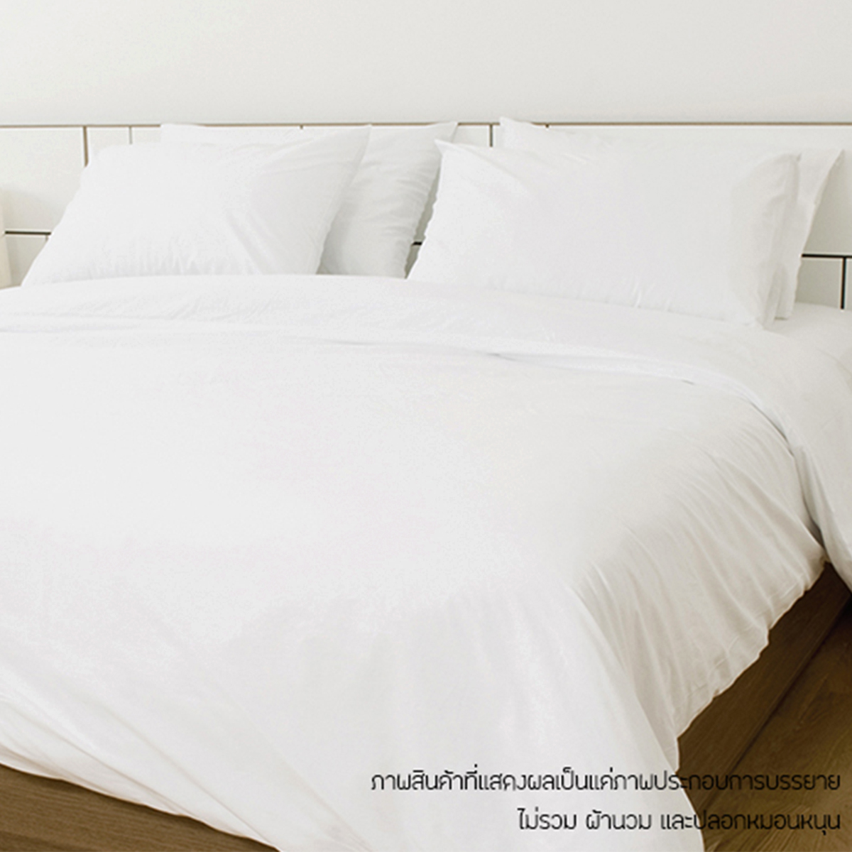 ผ้าปูที่นอน KASSA HOTEL รุ่น 250T ขนาด 6 ฟุต สีขาว ราคา 830 บาท*ส่งฟรี