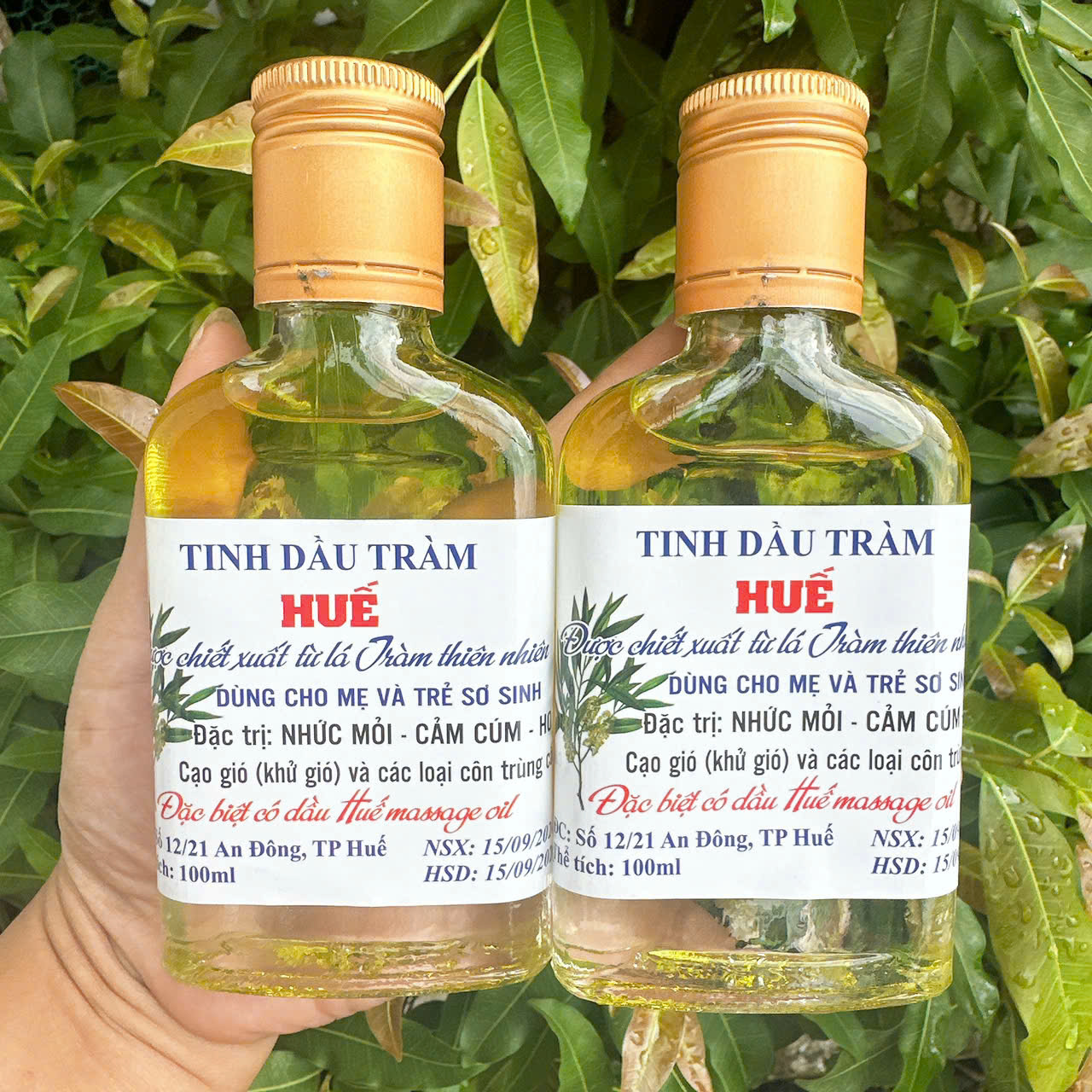 Combo 2 Chai Dầu tràm Huế chai 100ml