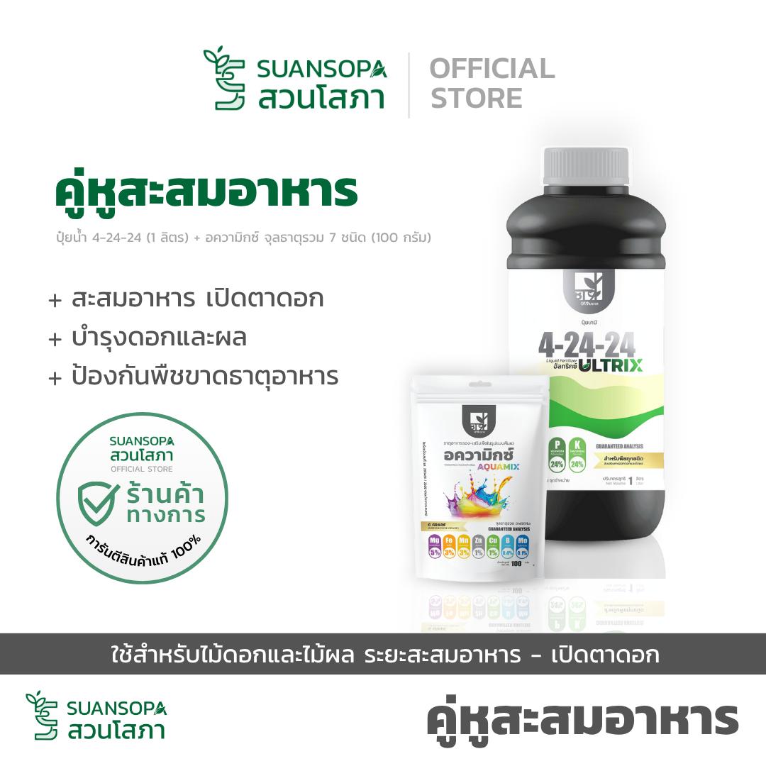 Vase Garden, a Companion for Collecting Food for Flowering Plants and Fruit Trees, the Period of Food Accumulation and Flowering. ราคา 737 บาท*ส่งฟรี