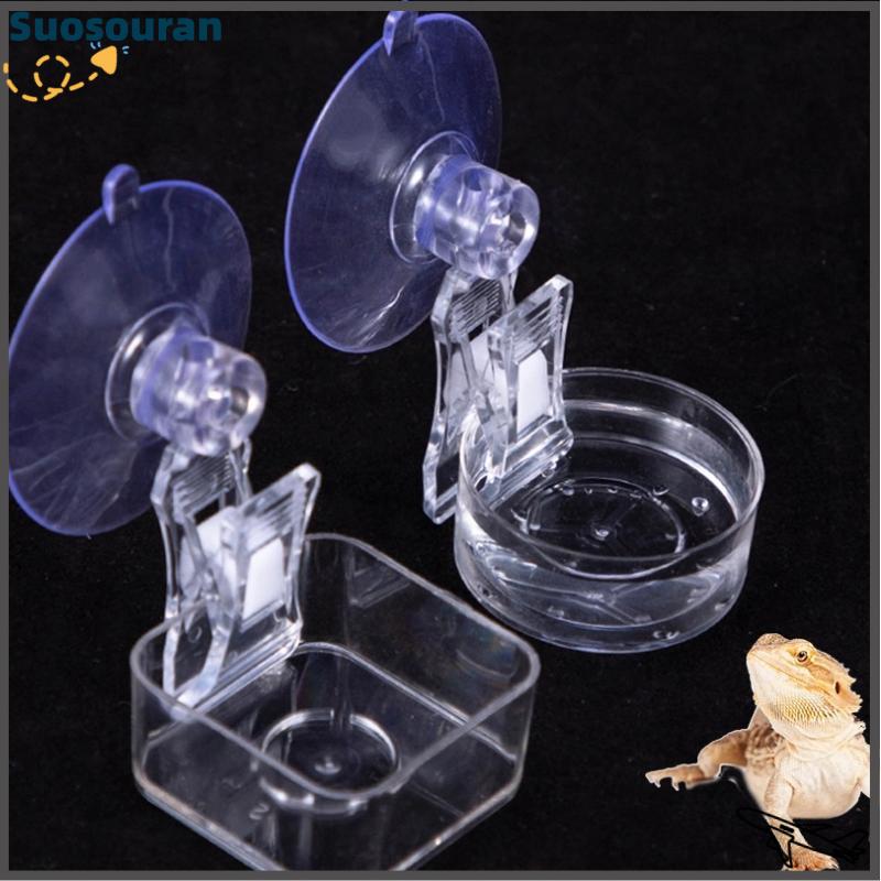 【suosouran】🔥🔥 Bò sát nước thực phẩm bát hút cup thực phẩm khay Gecko bò sát thằn lằn nhện cây ếch Feeder môi trường sống trang trí vật nuôi nguồn cung cấp
