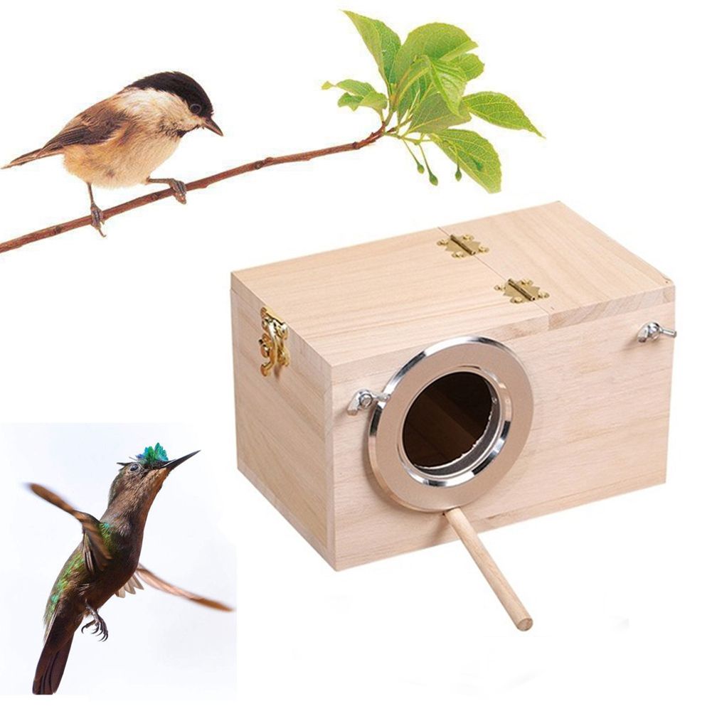QIREMALL Chăn nuôi atiels Chim én Đồ dùng cho thú cưng Con vẹt Hang sinh sản Hộp quan sát chim Nhà chim bằng gỗ Hộp tổ chim