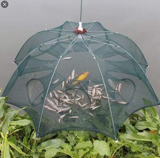 Lưới bát quái bắt cá, lươn, trạch, tôm, tôm cua...lồng ô, lồng bát quái