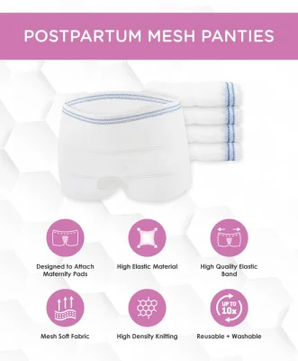 Postpartum Mesh Panties (5pcs) Reusable, Washable, Attach Maternity Pads, Aids Birth Recovery
