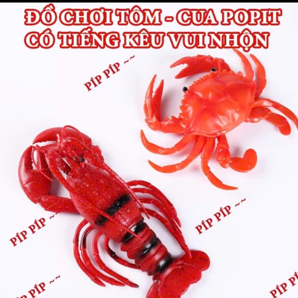 CUA & TÔM BÓP PHÁT RA ÂM THANH BÍP BÍP SIÊU VUI NHỘN – ĐỒ CHƠI GIẢI TRESS, GIẢI TRÍ MỌI LÚC MỌI NƠI CHO BẠN VÀ BÉ